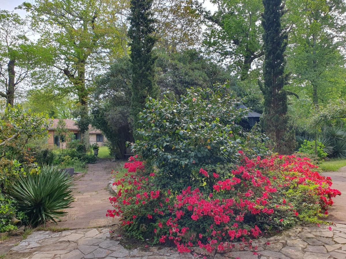 Manoir De Tireveste Lesperon  Exterior foto
